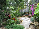 Small Tropical Garden After